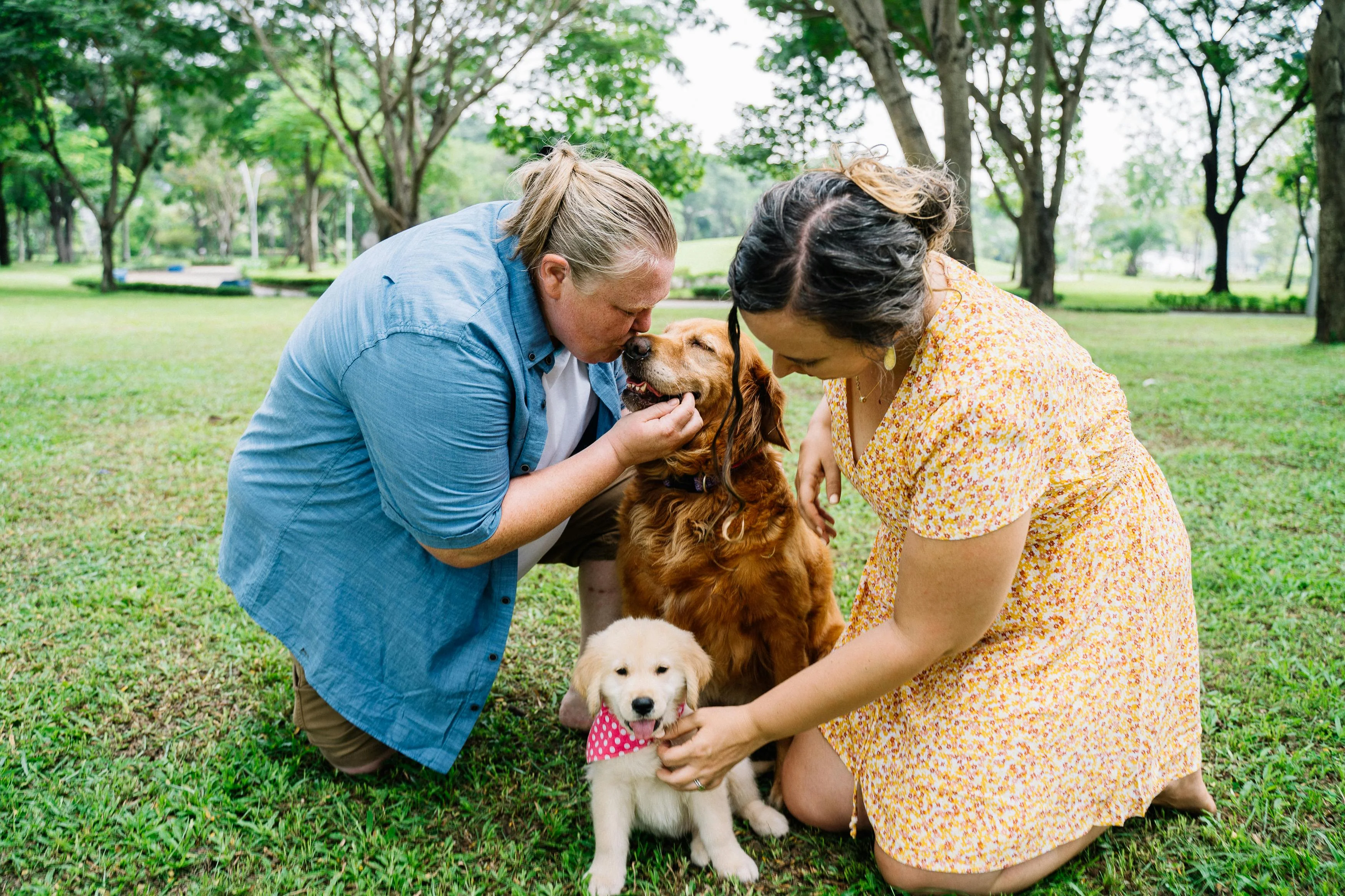 Visual representation for Reiki for Pets