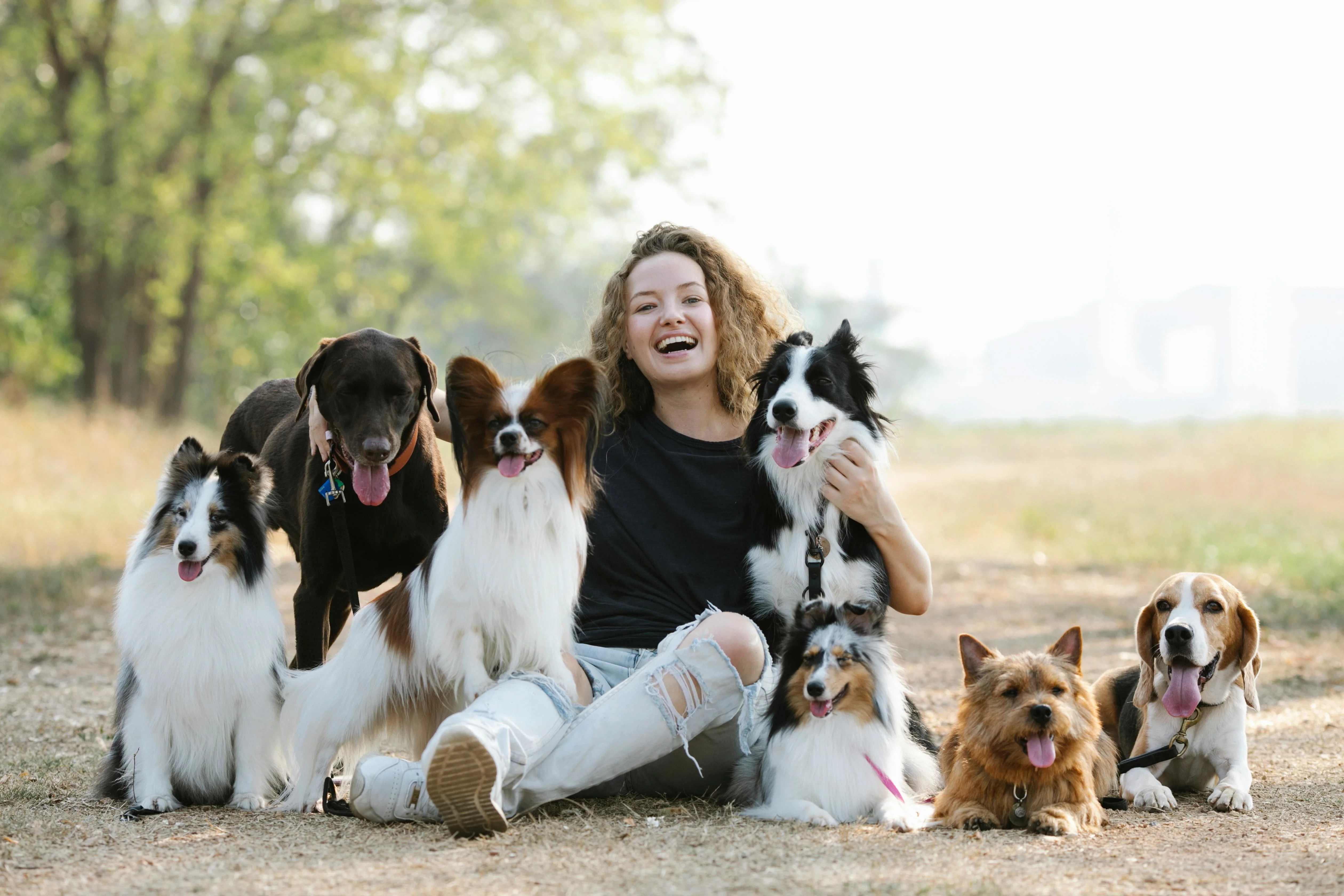 Reiki for Pets